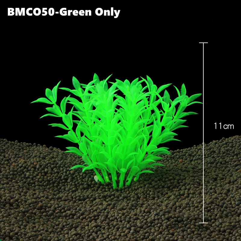BM064 (3)