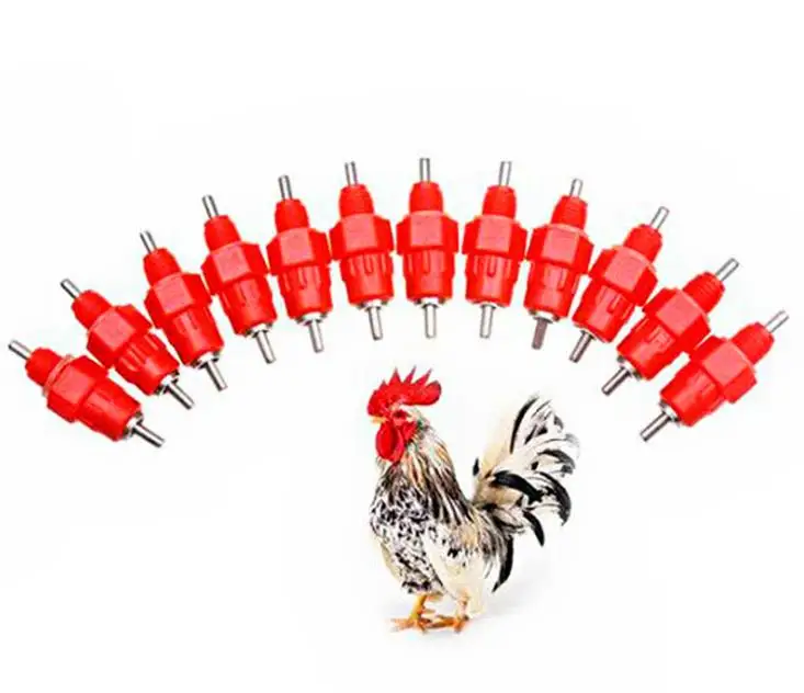 HTB1oRsKXZfrK1Rjy1Xdq6yemFXat