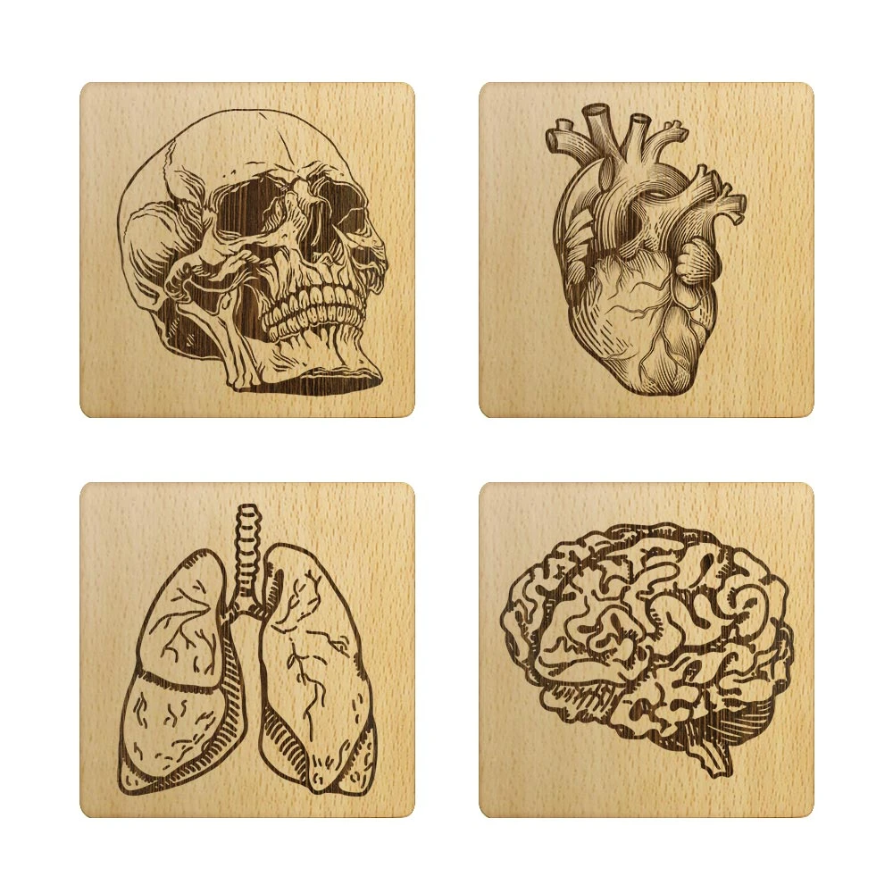 Set of 4 Wooden Human Anatomy Coasters Medical Laser Engraved Bar Beer  Coasters Kitchen Decor Funny Housewarming Gift for Doctor|Mats & Pads| -  AliExpress