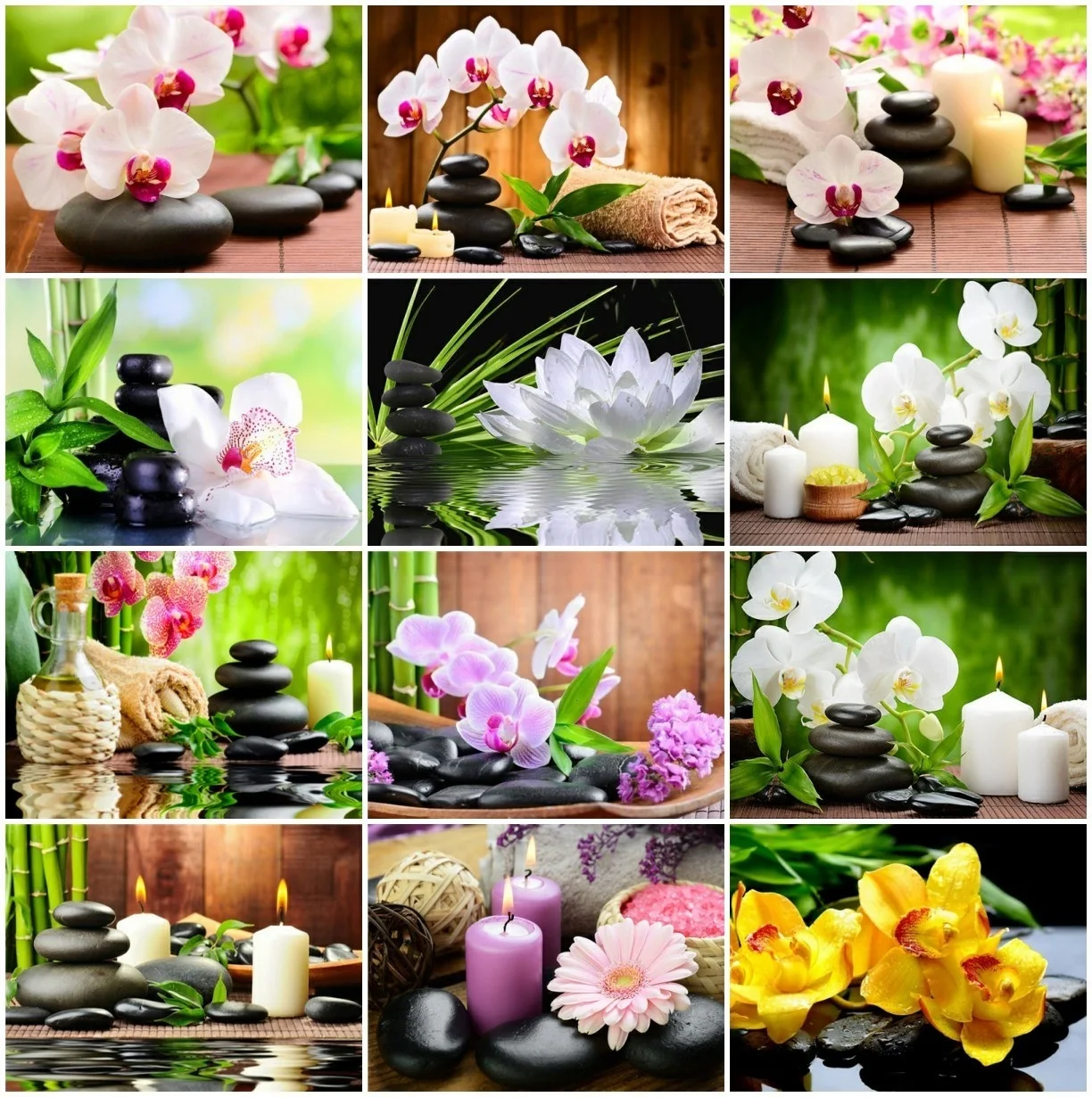 17 (1).jpg_.webp 17 (1).jpg_.webp