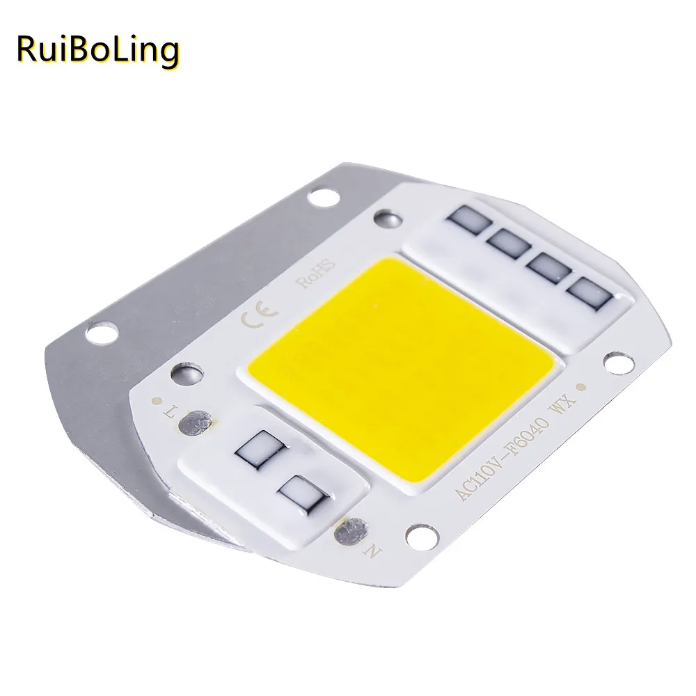 LED Lamp LED Chip LED Lamp Bulb LED Lamp Beads F6040 20W/30W/50W AC 220V COB module for outdoor focus Spotlight Garden