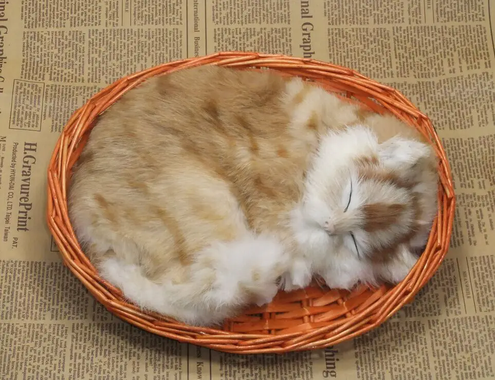 Реалистичные Коты, плюшевые куклы Детские животные модели игрушек каваи спящие кошки домашний декор детский любимый день рождения Рождественский подарок