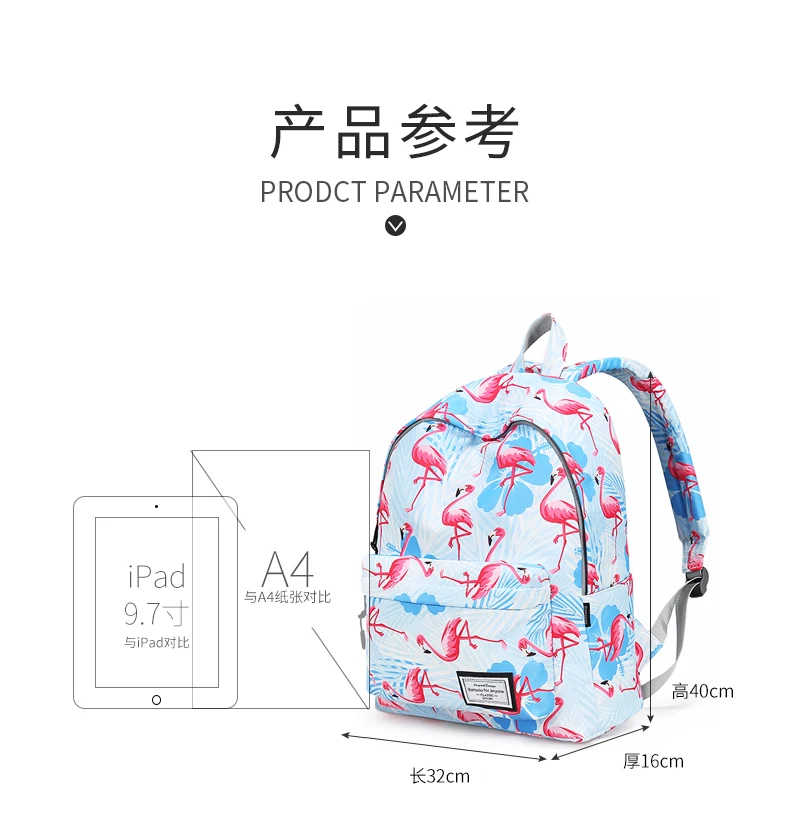 火烈鸟_04
