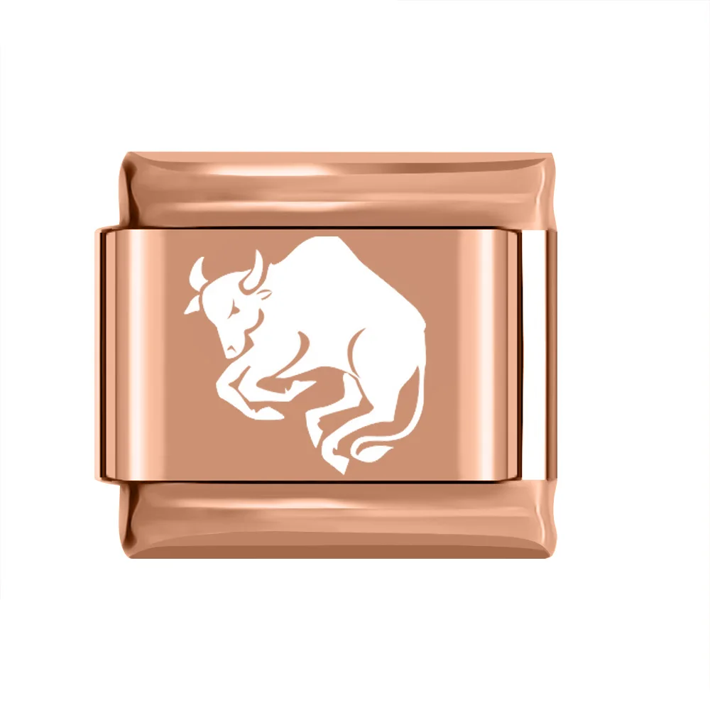 Taurus Hapiship,,, Маргаритка, роза, 12 созвездий, очаровательные звенья, подходит для 9 мм, браслет, серебро, нержавеющая сталь, ювелирное изделие, сделай сам, DJ205 - Окраска металла: Taurus