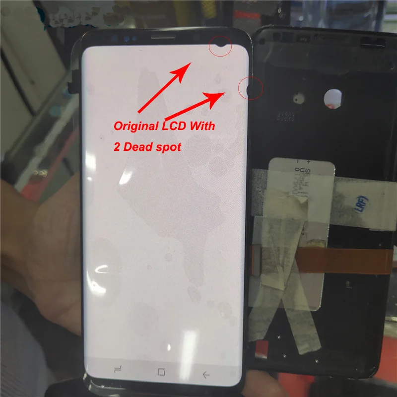 2.4g 20dbi High Gain Mimo Dish Antenna 4g antenna