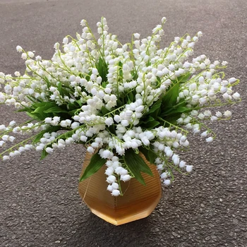 

6Pcs/lt Nice White Lily Of The Valley Flower plants Indoor Rare Bell Orchid plants Rich Aroma Bonsai Flowers Beautiful Plants