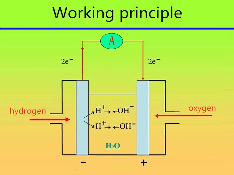 TB2IgeNufiSBuNkSnhJXXbDcpXa_!!2787836877
