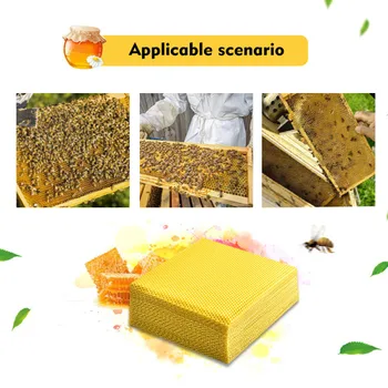 

10Pcs Bee Nest Beekeeping Honeycomb Foundation Bees Wax Frames Honey Hive Garden Bee Beehive Nest Beekeeping Tool Accessories