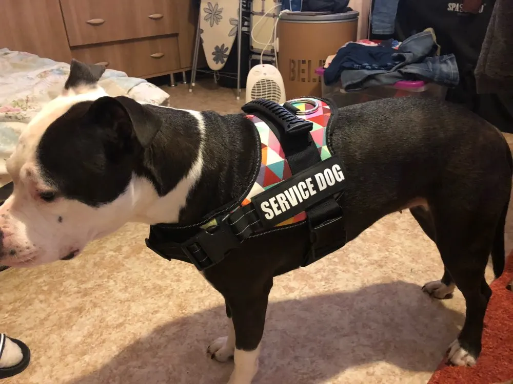 UTB8hWdYqVfJXKJkSamHq6zLyVXac