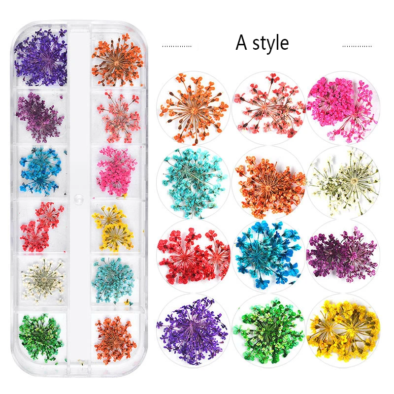 

1 Sheet DIY Nail Dried Flower 12 Color Star Sun Flower Small Daisy 12 Color Dried Flower Decoration 24 Nail Dried Flowers