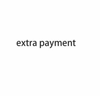 

extra payment