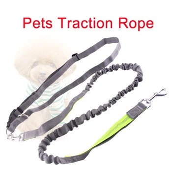 

New Pet Accessories Pet Elastic Traction Rope Pet Running Traction Rope Hyena Traction Pet Supplies Dog Collars And Leashes
