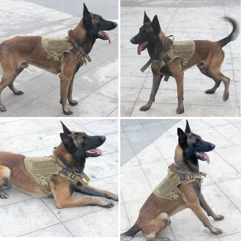 81Nxi5eT64L._AC_SL1500_