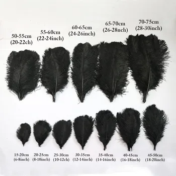 

10pcs/Lot Black Ostrich Feathers Size 15-75 CM/6-30 Inches Ostrich Plumes for Diy Wedding Home Party Decoration feather Crafts