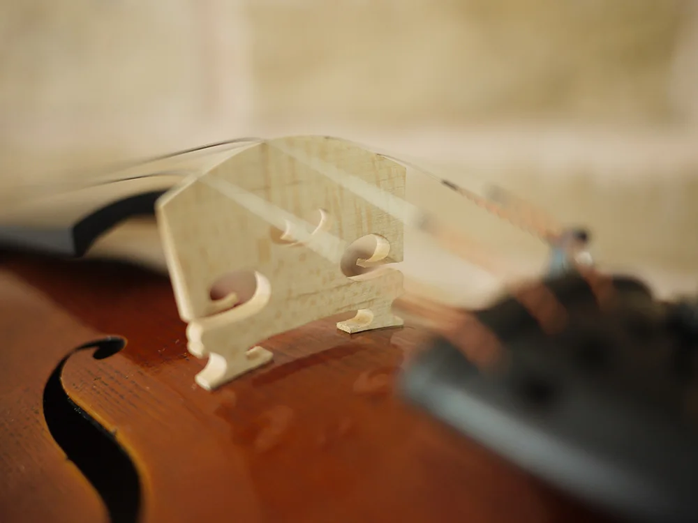 Модель StradIvarius 1715 с высоким содержанием пламени. Античный масляный лак. No.1005. Насыщенный и глубокий тон. ручной работы