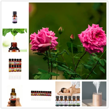 

10ml Calla Lily Flower Essential Oil for Fragrance Aromatherapy Diffusers Chinese Bellflower Regulate Endocrine Essential Oil