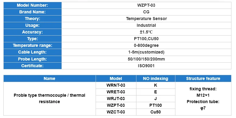 CG WZPT-03 PT100 2 м M12 Тип с 2 м провода кабель 50 мм 100 мм 150 мм 200 мм Зонд термопары Датчик температуры для Temp Контроллер
