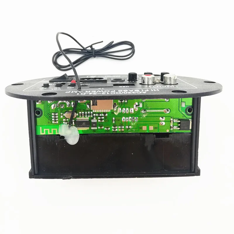 Car Audio Digital Mono Power Amplifier Board Built-in Bluetooth 12V24V220V Subwoofer With Card U Disk Remote Control Microphone