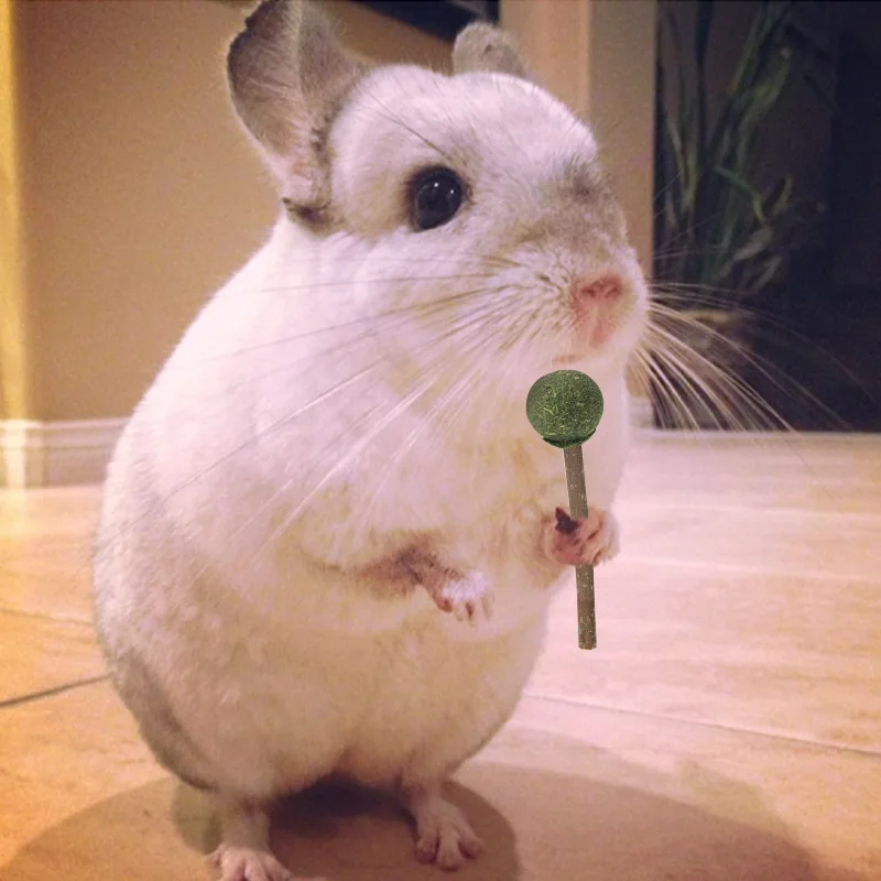 Snack Per Animali Domestici Totoro Piccoli Animali Domestici Coniglio Snack Molari Ratto Criceto Snack Alimentari Lecca-Lecca Foraggio Molare