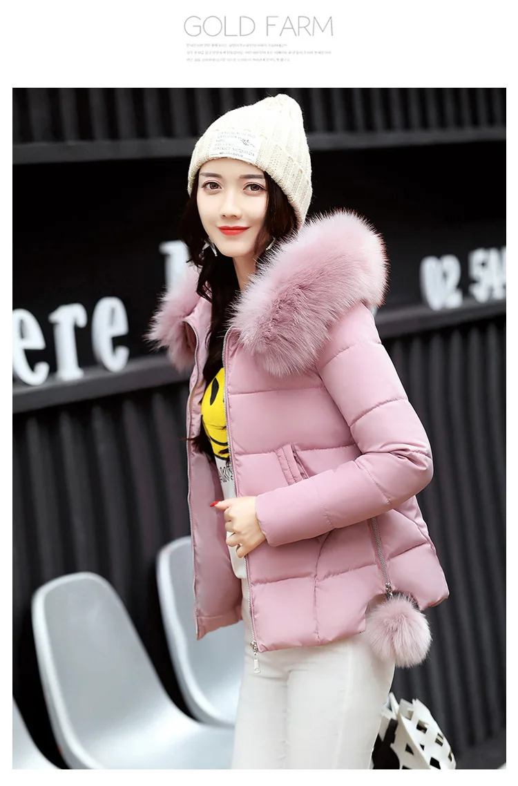 8996861806_1006637240