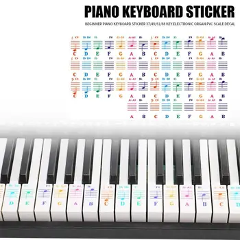 

Durable Spectrum Keyboard Stickers Hit Color Transparent 25/49/61/76/88 Key Piano Keyboard Stave Note Sticker for Children