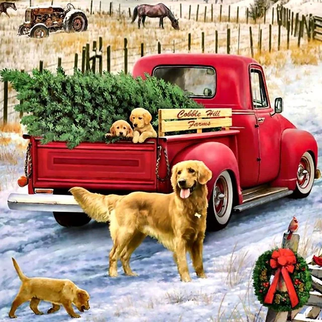 Christmas Diamond Painting Kits 5D Paint Red Truck Farm Winter Night Wall  Decor