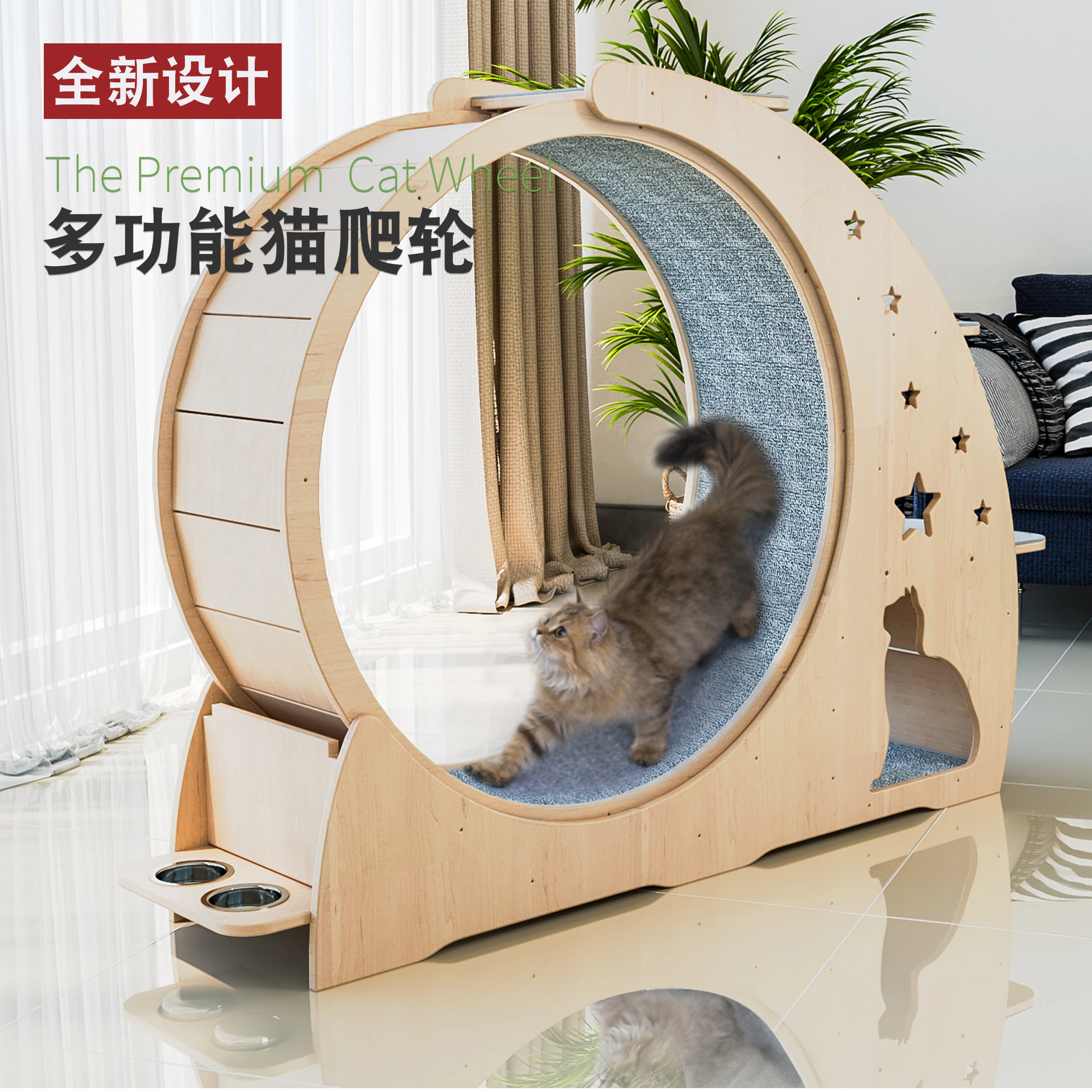 cat wheel
