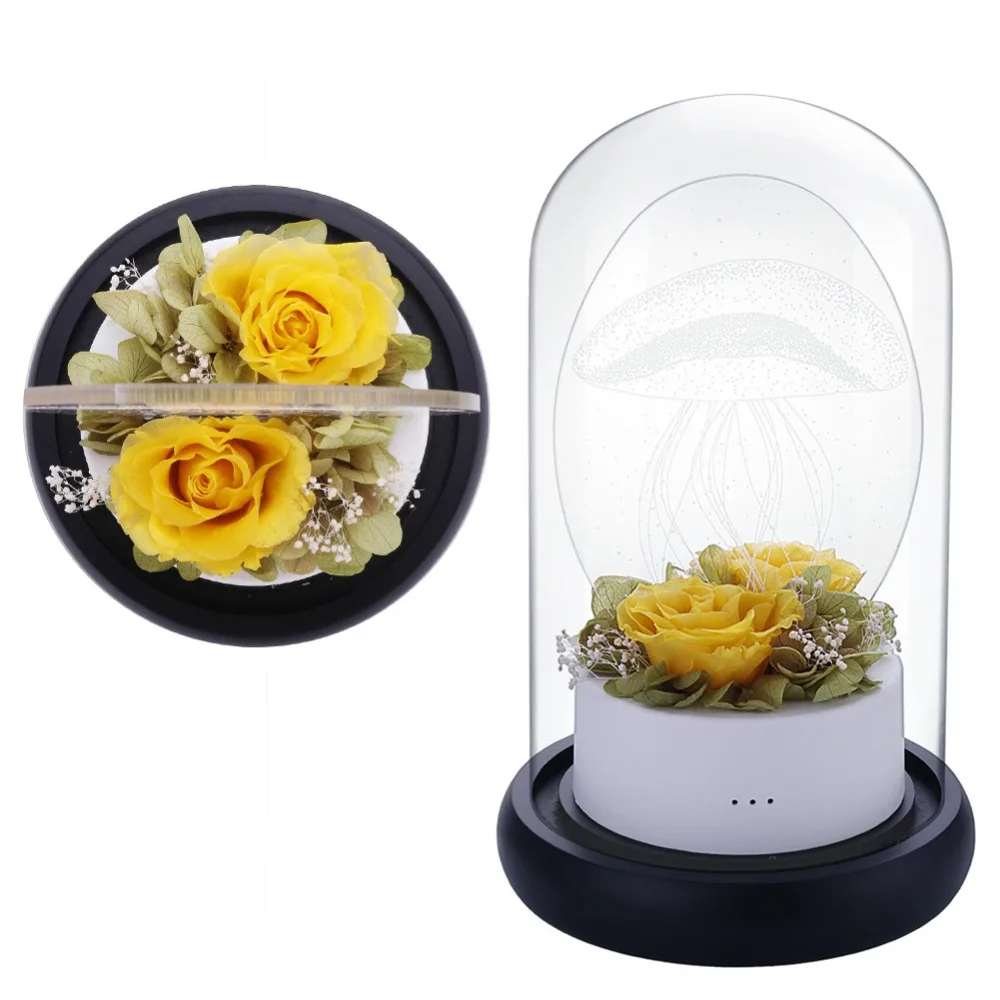 New Sale Enchanted Rose Last Forever in Glass Soft LED Light Flower Valentine's Day Anniversary Romantic Birthday Christmas Gift