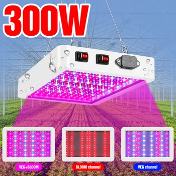 

Phyto Lamp LED Grow Light Full Spectrum AC100-277V Plants Lighting Fitolampy LED 300W 500W For Growing Flower Seedling Cultivo