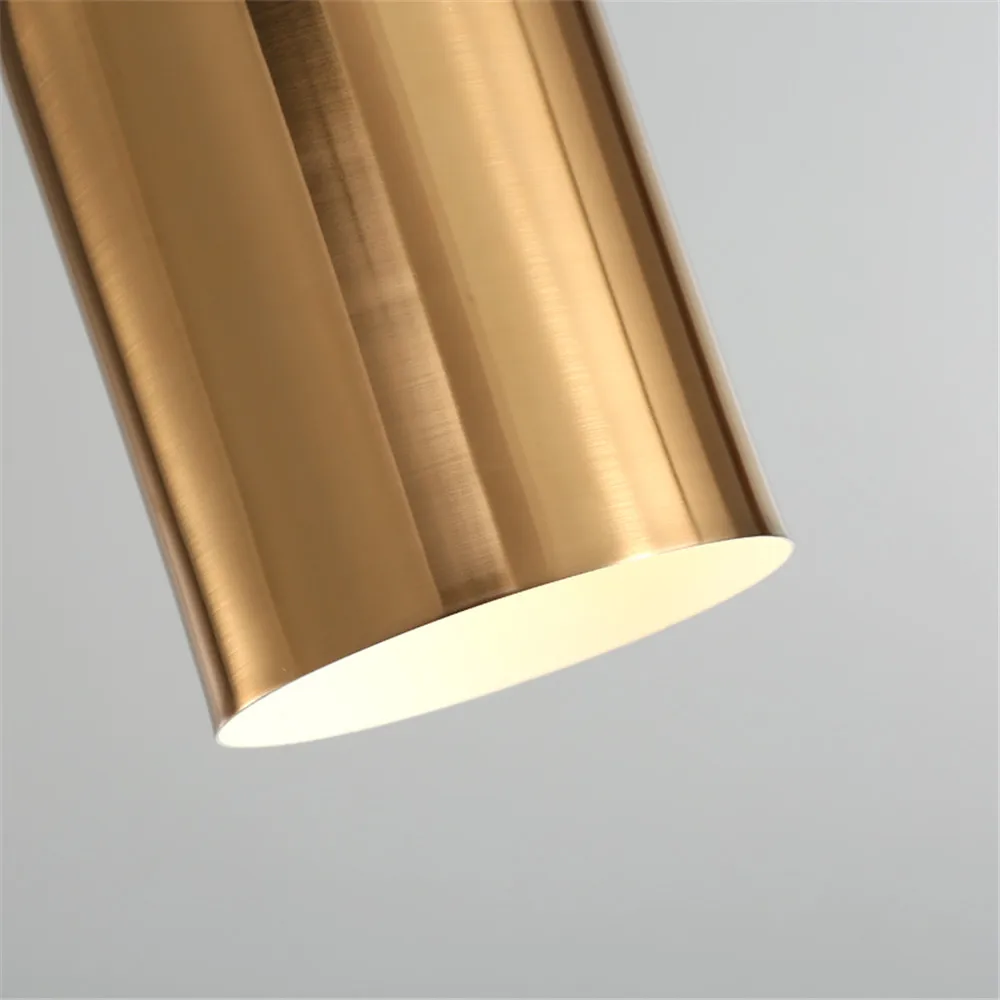 Nordic Design LED Pendant Lamp Loft Decor Modern Gold Iron Single Head Hanging Light Home Lighting Fixtures Indoor Luminaire (2)