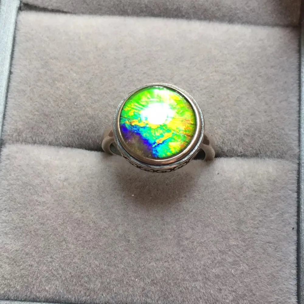 IMG_7789(20200211-170303)