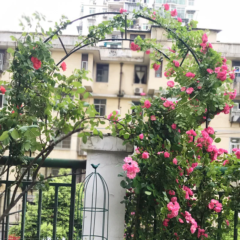 

Iron Art Arch Flower Stand Grape Simplicity Lattice Rose Rose Climbing Frame Clematis Arch Guide Holder