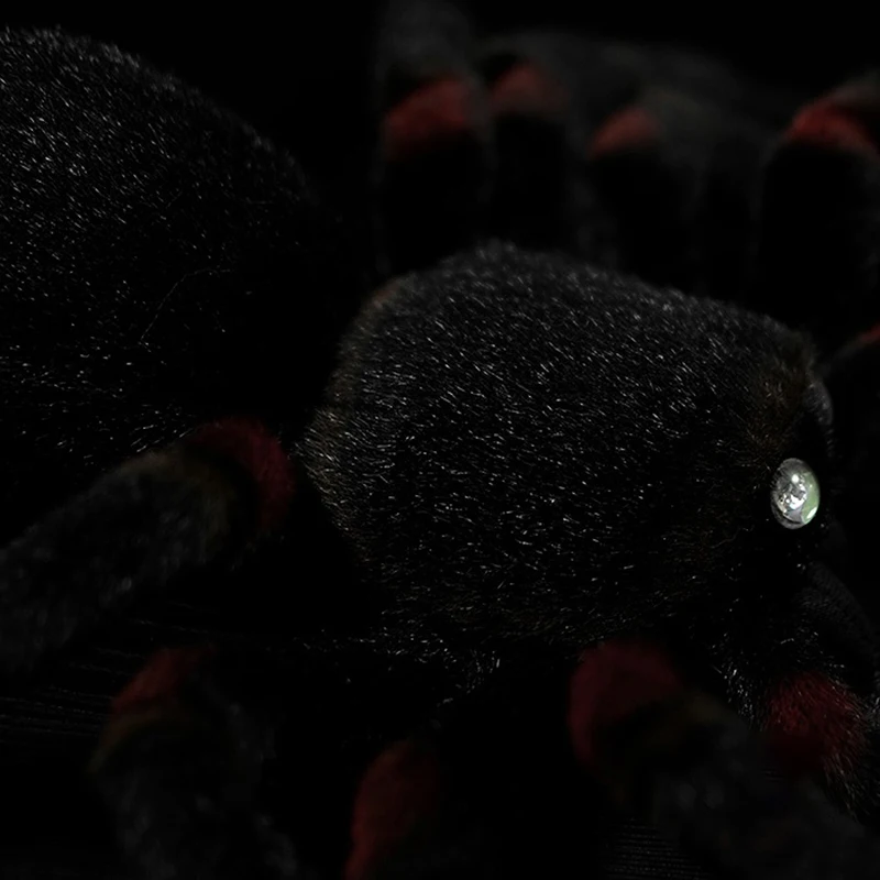 O1CN01DFUlcp1DnZzWYb4Lp_!!22080261