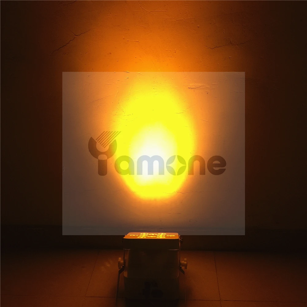 12pcs battery par 31