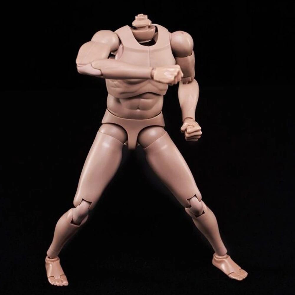 

1/6 Scale Europe Skin Male Body Model Toy MX02-A Fit for 12" Male Figure Model Head with Neck