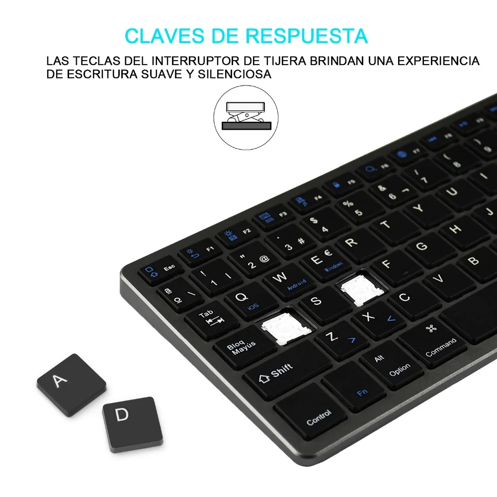 西班牙灰黑色剪刀脚