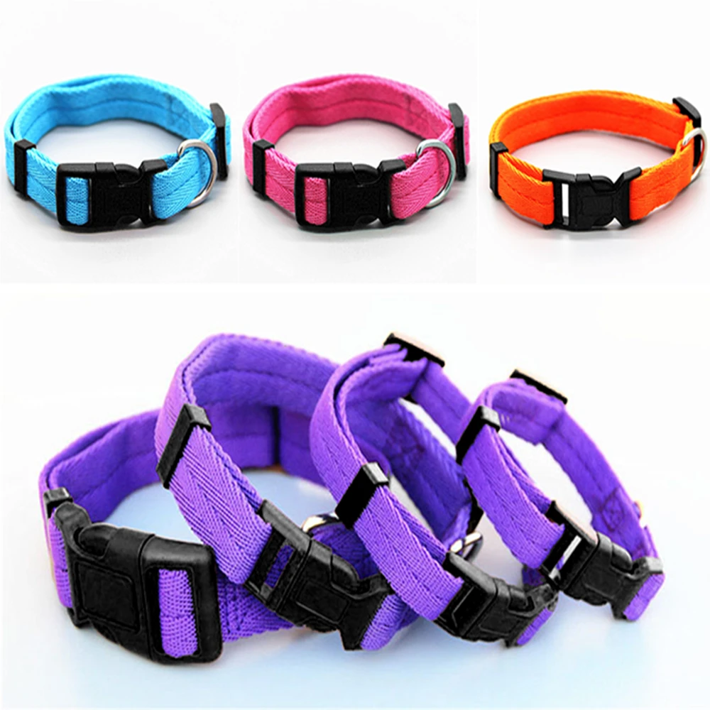 petrainer replacement collar