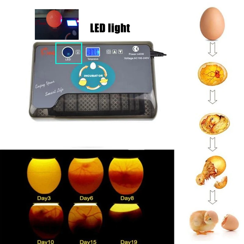 微信图片_20201201155603