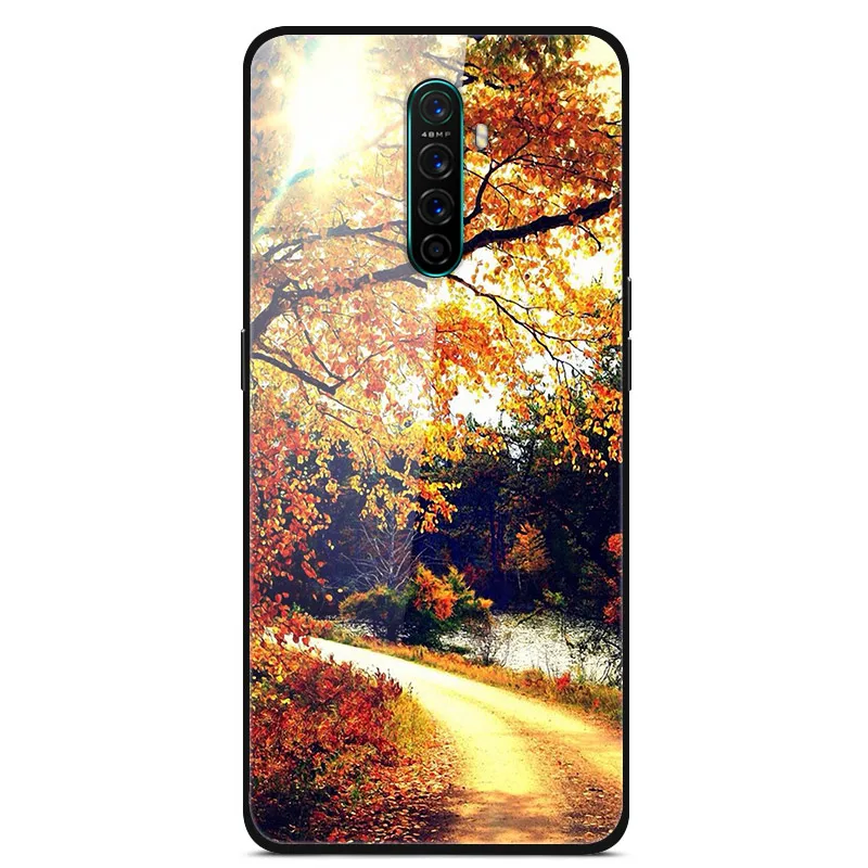 Premium Tempered Glass Hard Back Case with Soft Bumper - Durable Protective Cover
