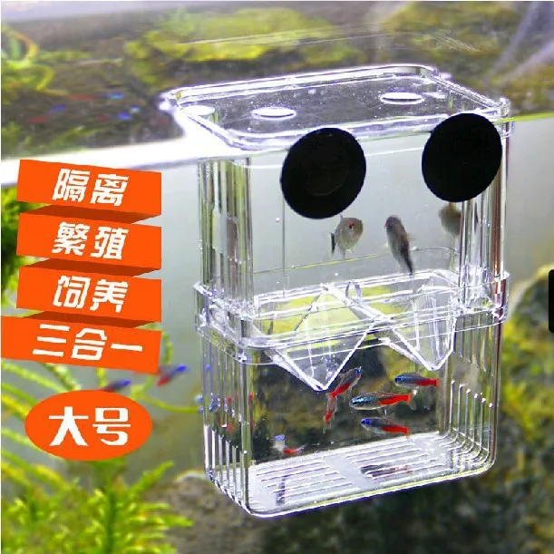 

Peacock Fish Hatching Double Layer Self-Floating Incubator Juvenile Fish Reproduction Acrylic ge li he Betta Box Large Size