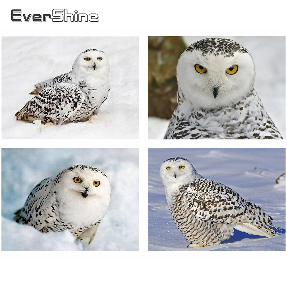 Evershine Diamond Painting Cross Stitch Animals Mosaic Owl Full Square Drill Snow Scenery Embroidered Crystal DIY Crafts | Дом и сад