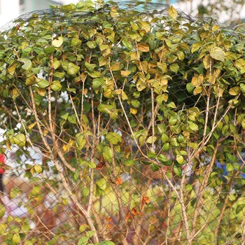 

Agriculture Tool Garden Mesh Fruit Tree Poultry Vegetables Anti Bird Netting Plant Pest Control PE Crops Flower Pond Protection
