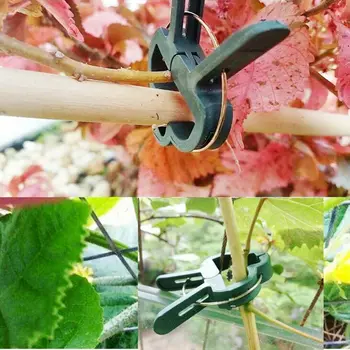 

20Pcs Reusable Garden Plant Fixed Clip Vines Grape Support Fastener Vegetables Flowers Clamp Greenhouse Bracket Connector Clip