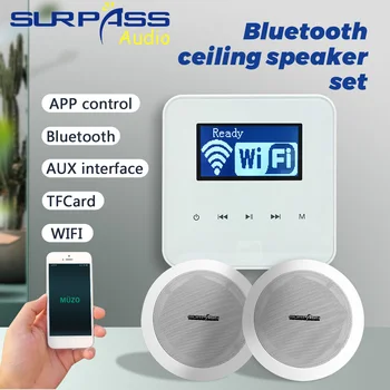 

Bluetooth WiFi Mini Wall Amplifier Big Power Stereo Home Audio System with PA Hi-fi Ceiling Speaker Full Set Background Music
