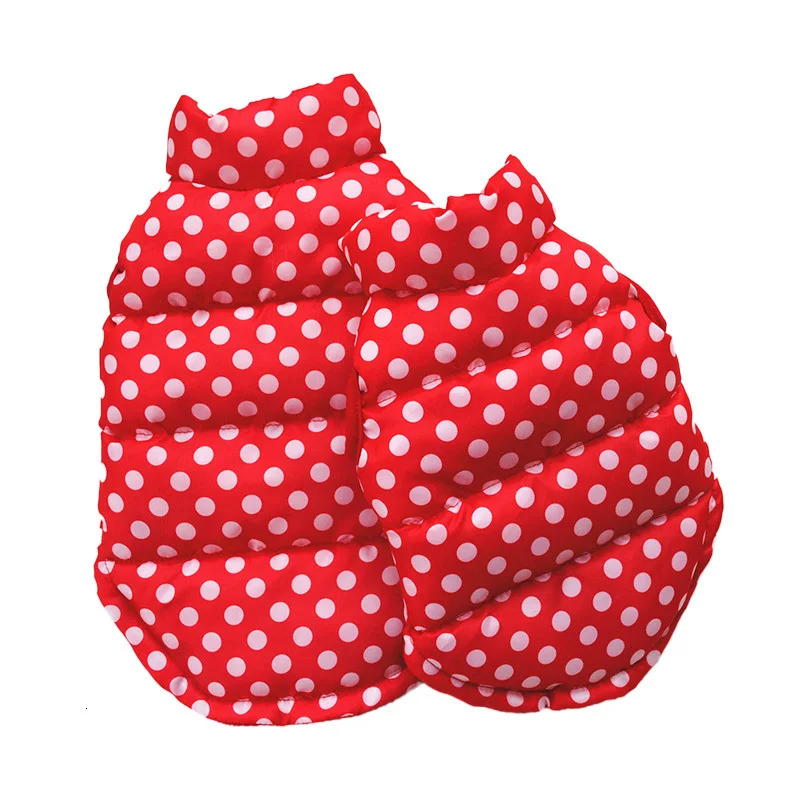 winter dog clothes