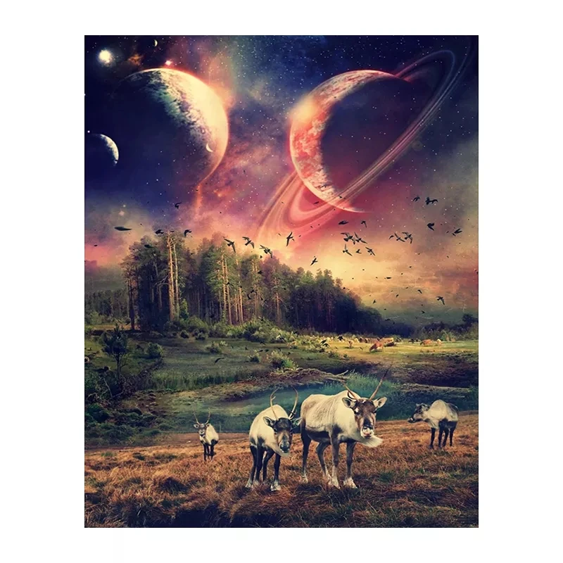 AMY-5D сверло алмазная вышивка сделай сам солнце корова луна квадратная/круглая