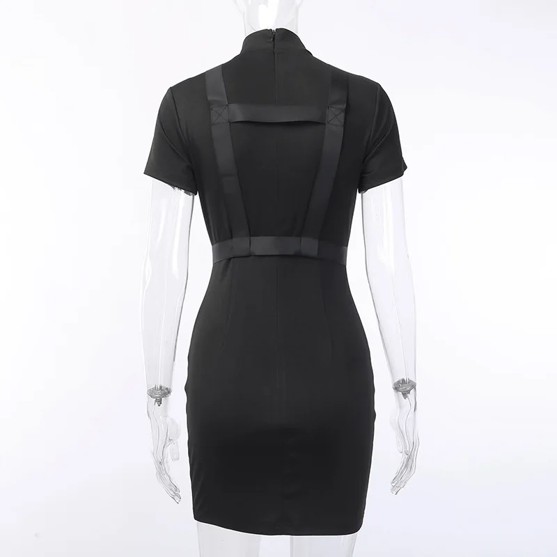 11215425269_1386157620