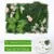 NEW Artificial Green Plant Lawn Carpet for Home Garden Wall Landscaping  Plastic Lawn Door Shop Backdrop Grass 19