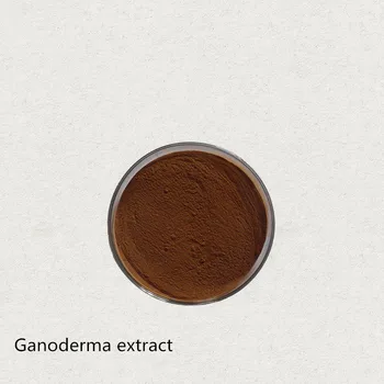 

Pure quality lucid Ganoderma extract powder /Ganoderma lucidum, best price
