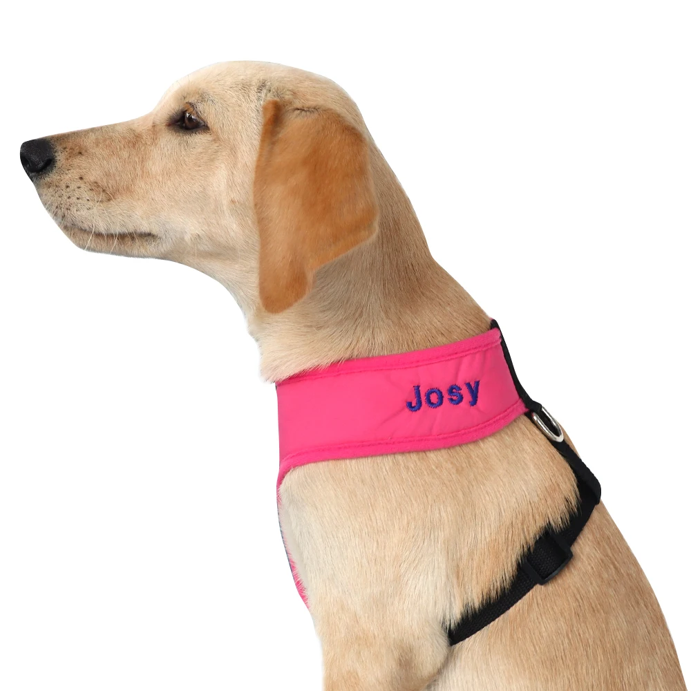 Нейлоновая Персонализированная шлейка для собак на заказ с сеткой для собак, поводок для питомцев, жилет с вышивкой, регулируемый для маленьких, средних и больших собак, чихуахуа, Мопса